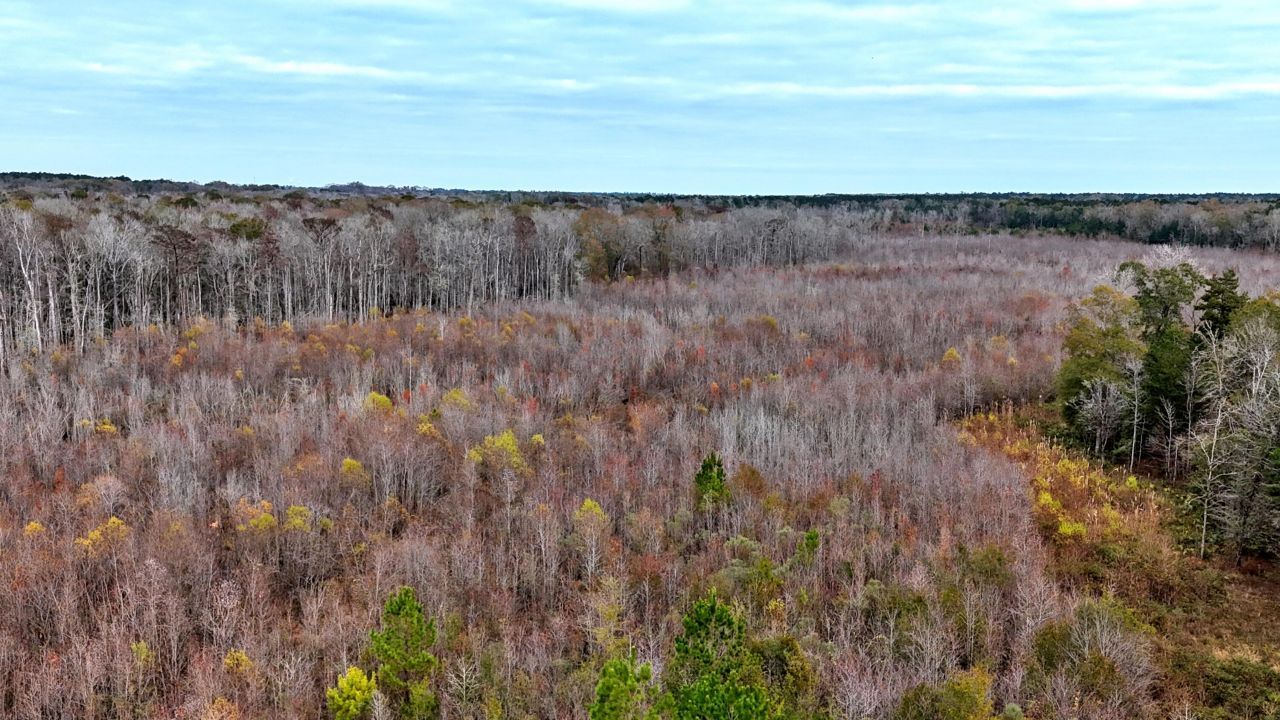 1215 Sandy Run Circle Photo 7