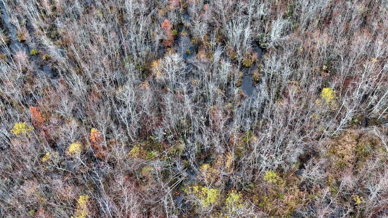 1215 Sandy Run Circle Photo 8