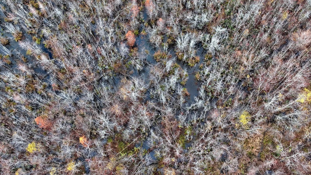 1215 Sandy Run Circle Photo 9