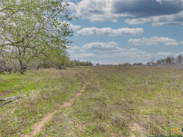 TBD County Road 157 , Nixon, TX 78140