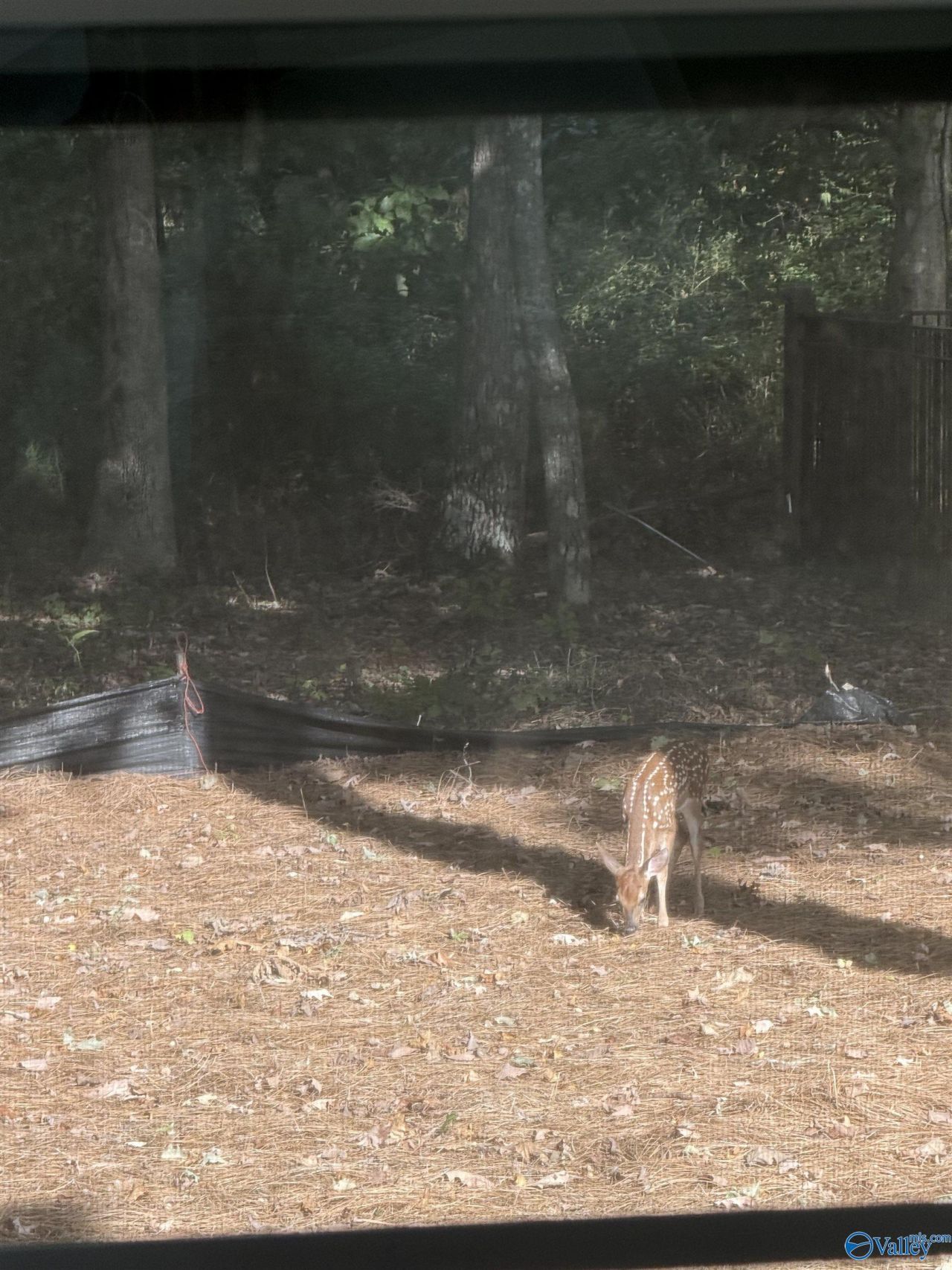 29 Bluff Creek, Huntsville, AL 35803 Main Photo