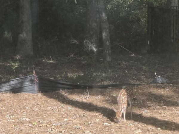 29 Bluff Creek, Huntsville, AL 35803