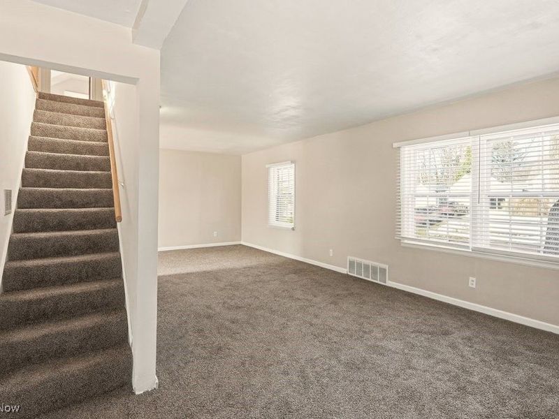 248 E Catawba Avenue, Akron, OH 44301 Photo 19