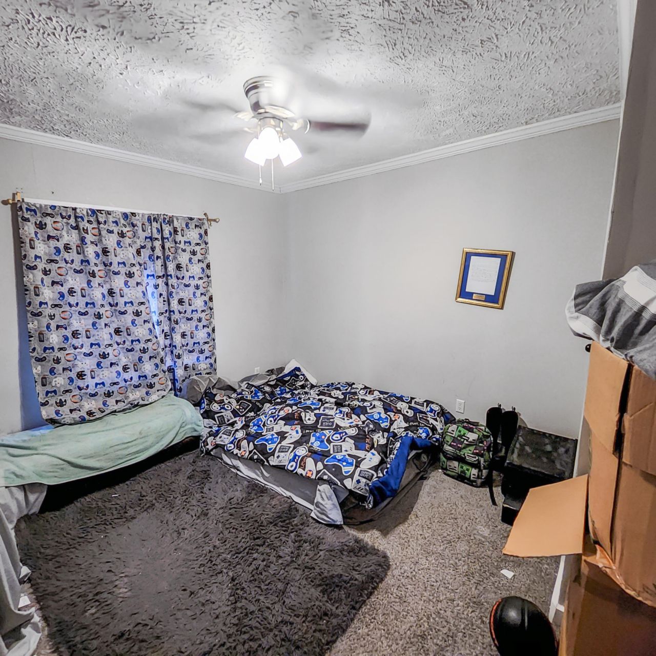 1105 Peacock Street Photo 12