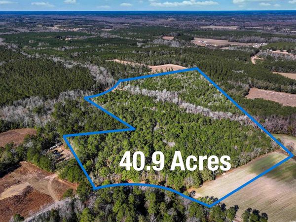 TBD Sand Hill Bay Rd., Loris, SC 29569