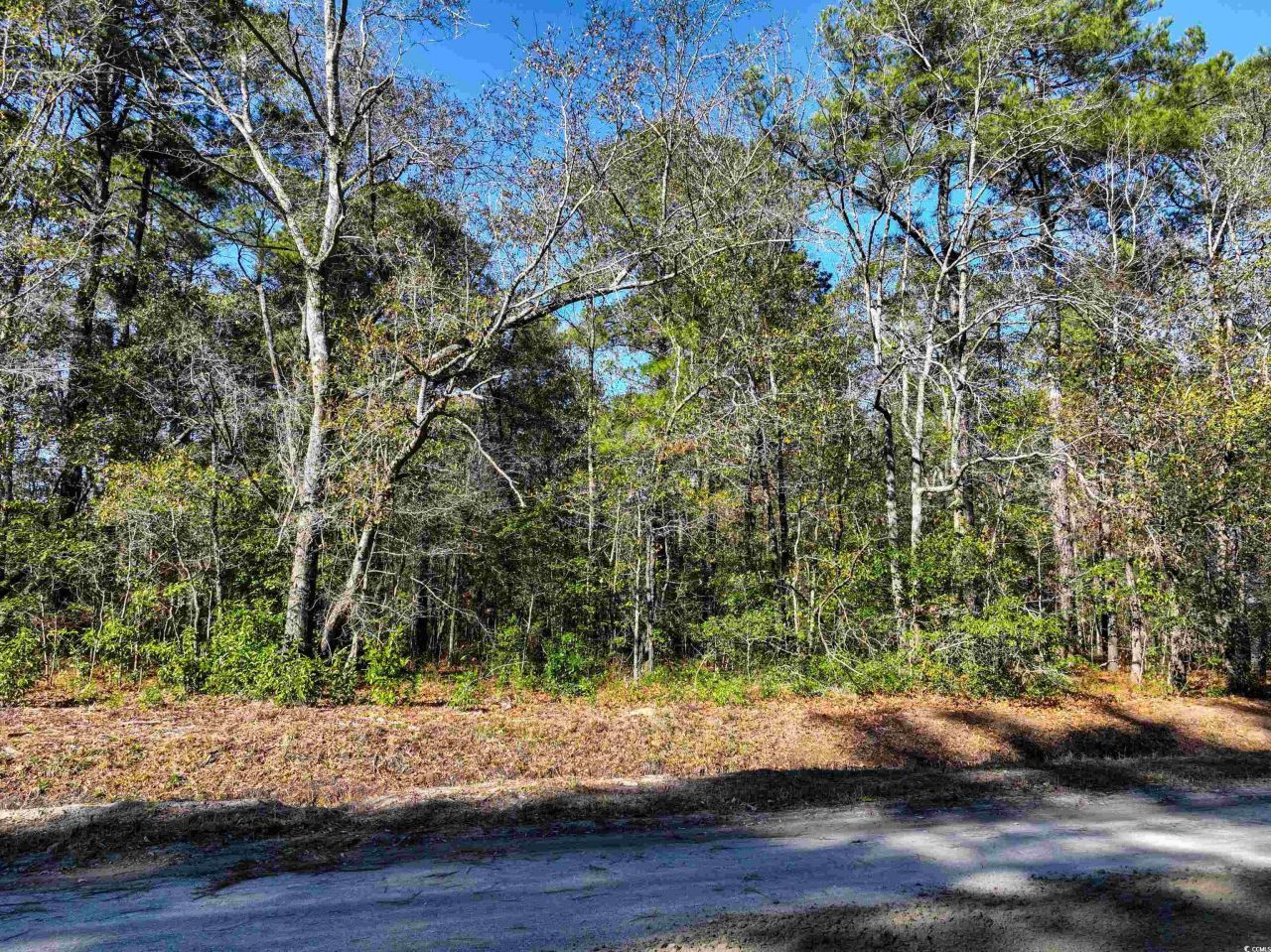 Tbd Sand Hill Bay Rd. Photo 11