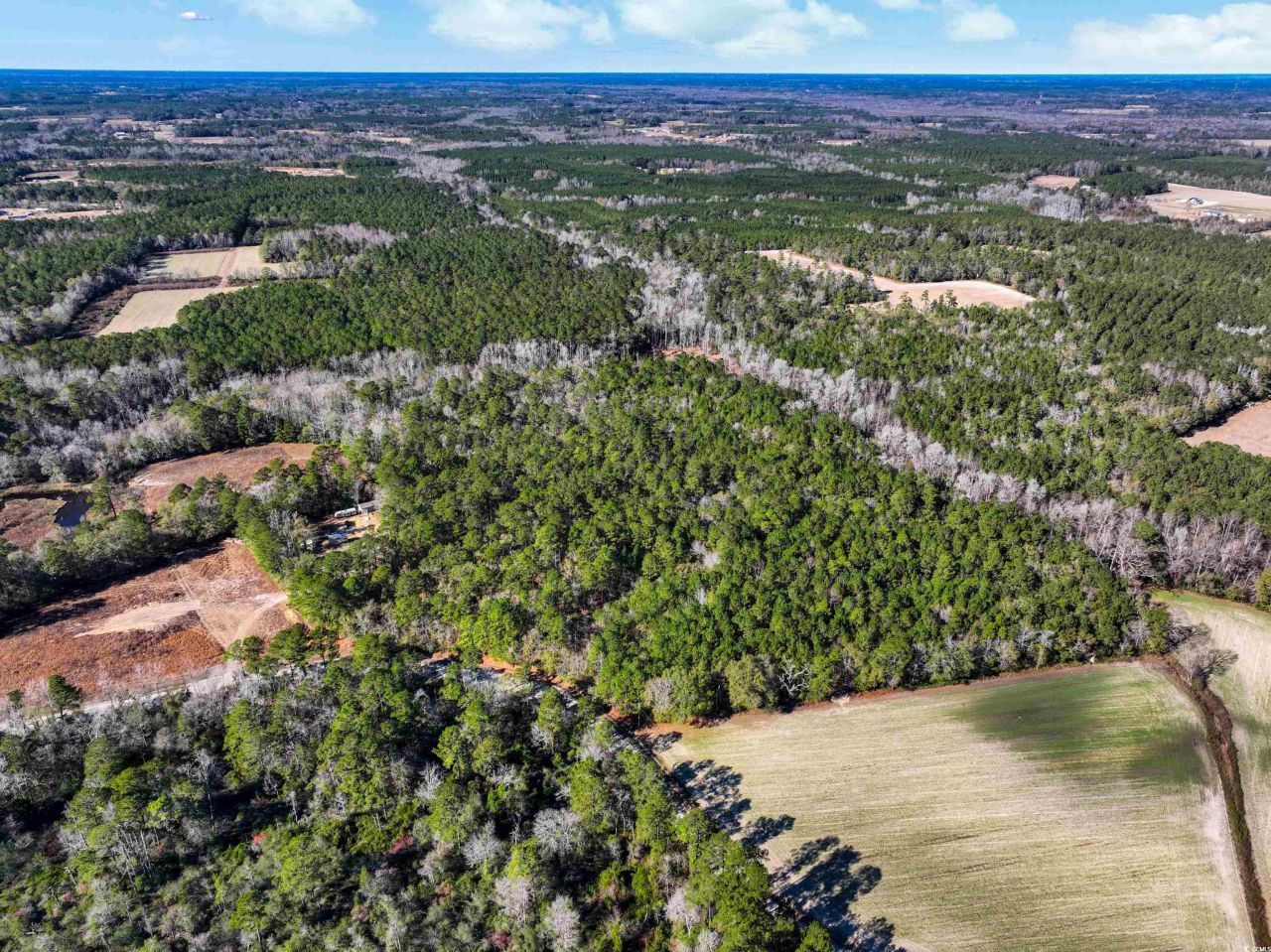 Tbd Sand Hill Bay Rd. Photo 4