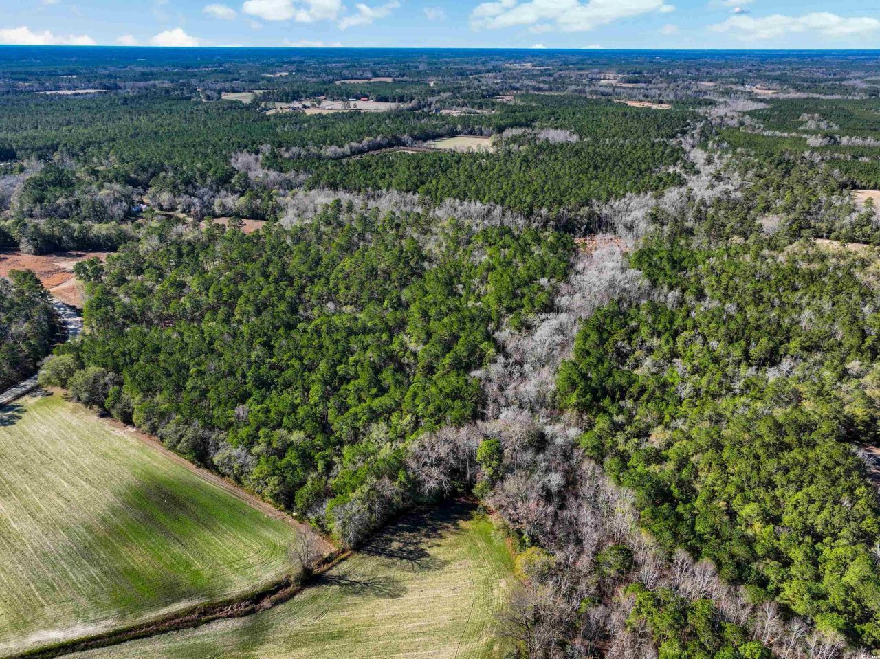 Tbd Sand Hill Bay Rd. Photo 6
