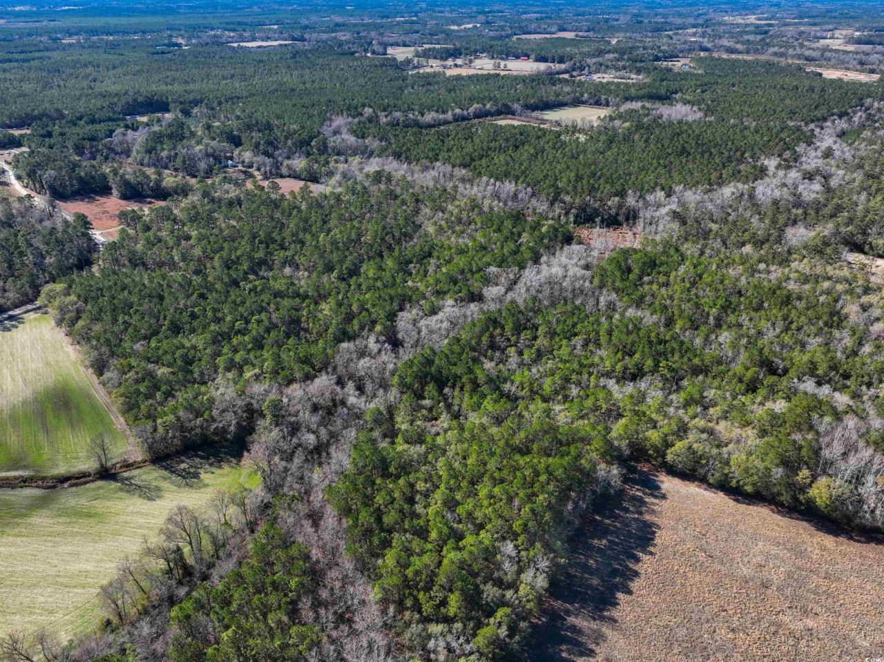 Tbd Sand Hill Bay Rd. Photo 7