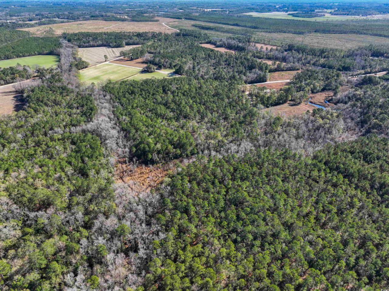 Tbd Sand Hill Bay Rd. Photo 8