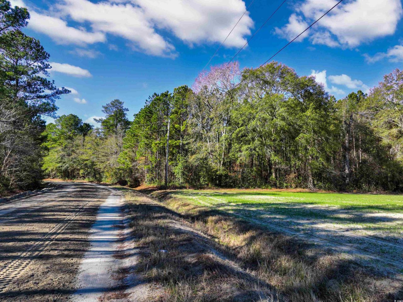Tbd Sand Hill Bay Rd. Photo 9