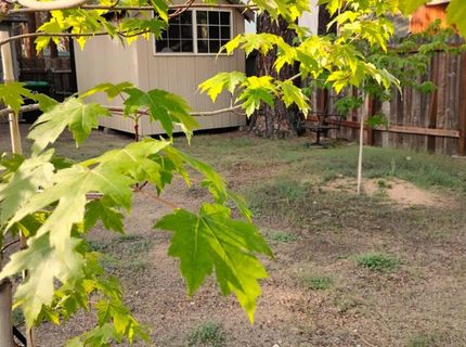 2520 Osborne Ave, South Lake Tahoe, CA 96150 Photo