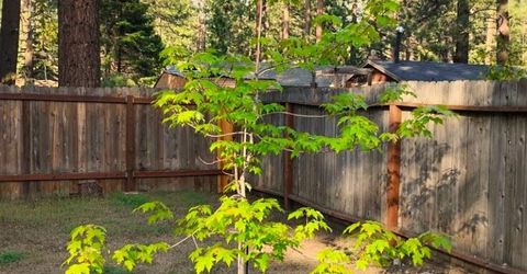 2520 Osborne Ave, South Lake Tahoe, CA 96150 Photo