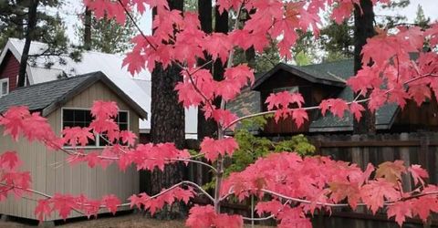 2520 Osborne Ave, South Lake Tahoe, CA 96150 Photo