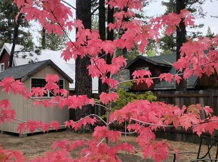 2520 Osborne Ave, South Lake Tahoe, CA 96150 Photo