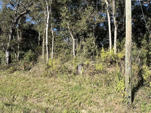 6475 Todd Acres Drive, Theodore, AL 36582