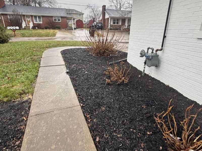 101 Rose Court, Owenton, KY 40359 Photo 5