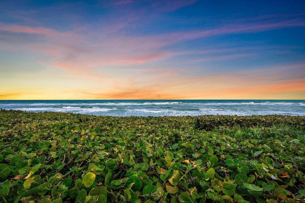 712 Ocean Drive, Juno Beach, FL 33408 Photo