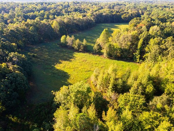 424 Tennessee Highway , Cedar Grove, TN 38321