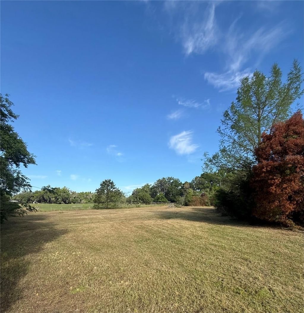 12230 N Us Highway 441, Citra, FL 32113 Photo