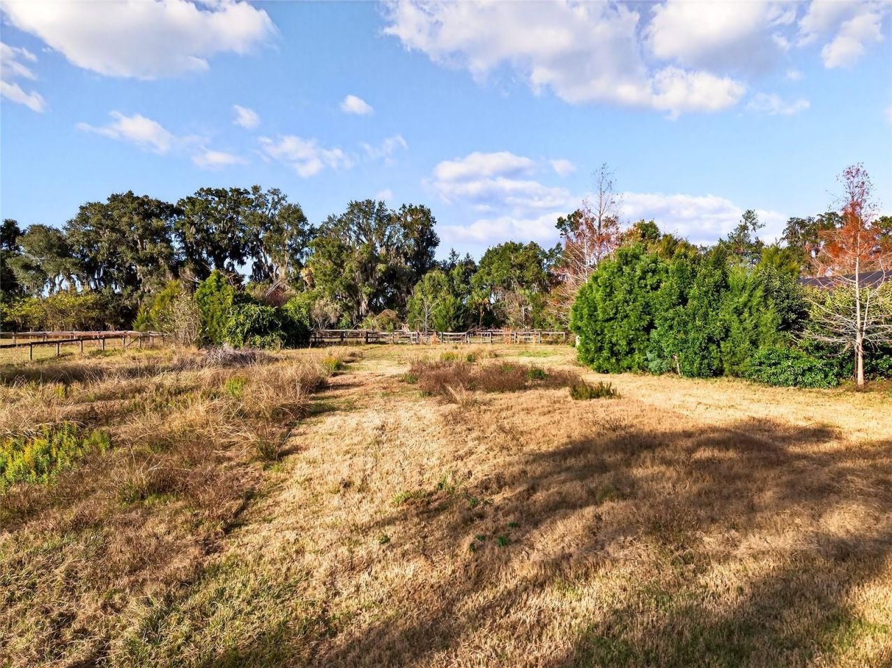 12230 N Us Highway 441, Citra, FL 32113 Photo