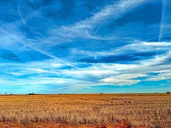 E 1250 Road, Erick, OK 73645