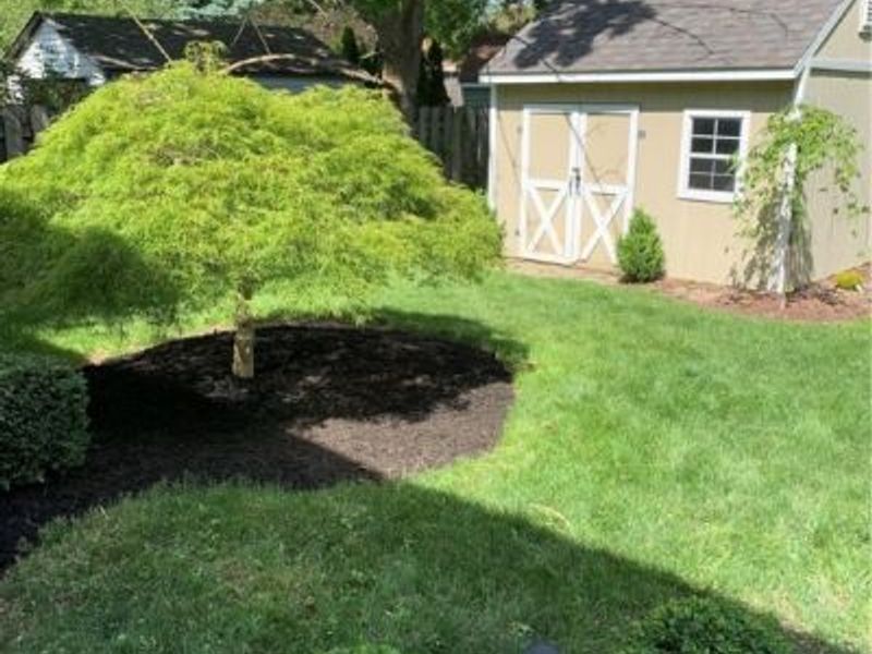 16367 Prospect Road, Strongsville, OH 44149 Photo 40