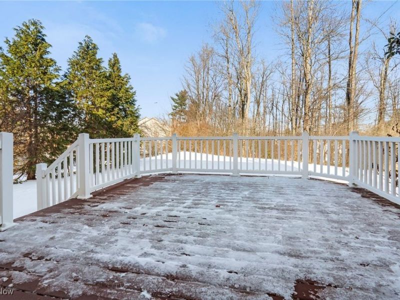 1847 Woodthrush Street NE, Canton, OH 44721 Photo 41