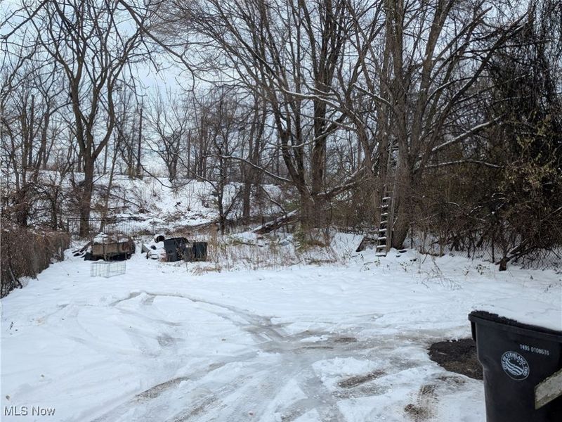 9413 Holton Avenue, Cleveland, OH 44104 Photo 5