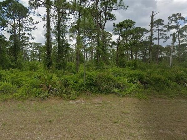 2017 Columbus AVE , ALVA, FL 33920