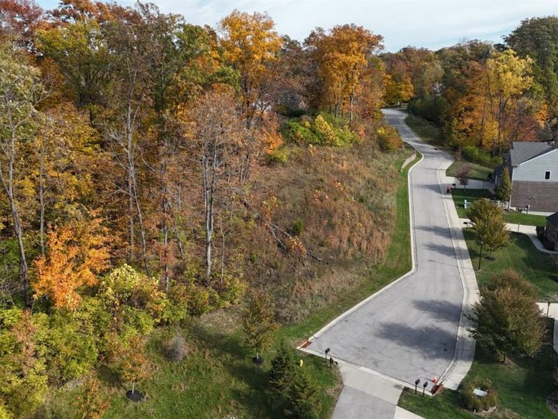 4051 Falling Creek Court, Sharonville, OH 45241 Photo 64