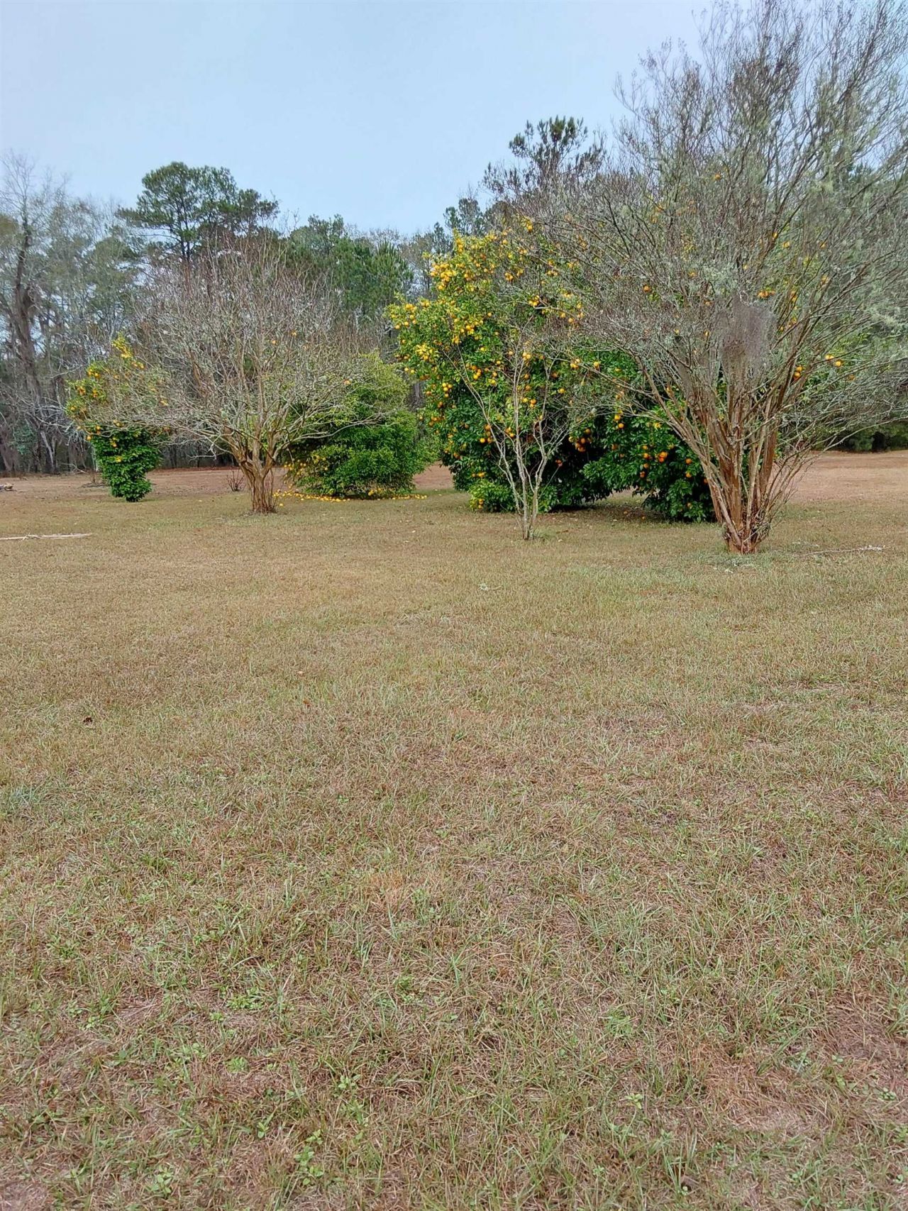 2255 Luten Road, Quincy, FL 32352 Photo