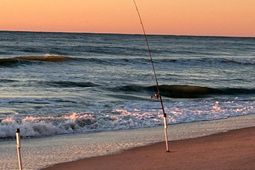 2311 S Ocean Blvd. photo 4