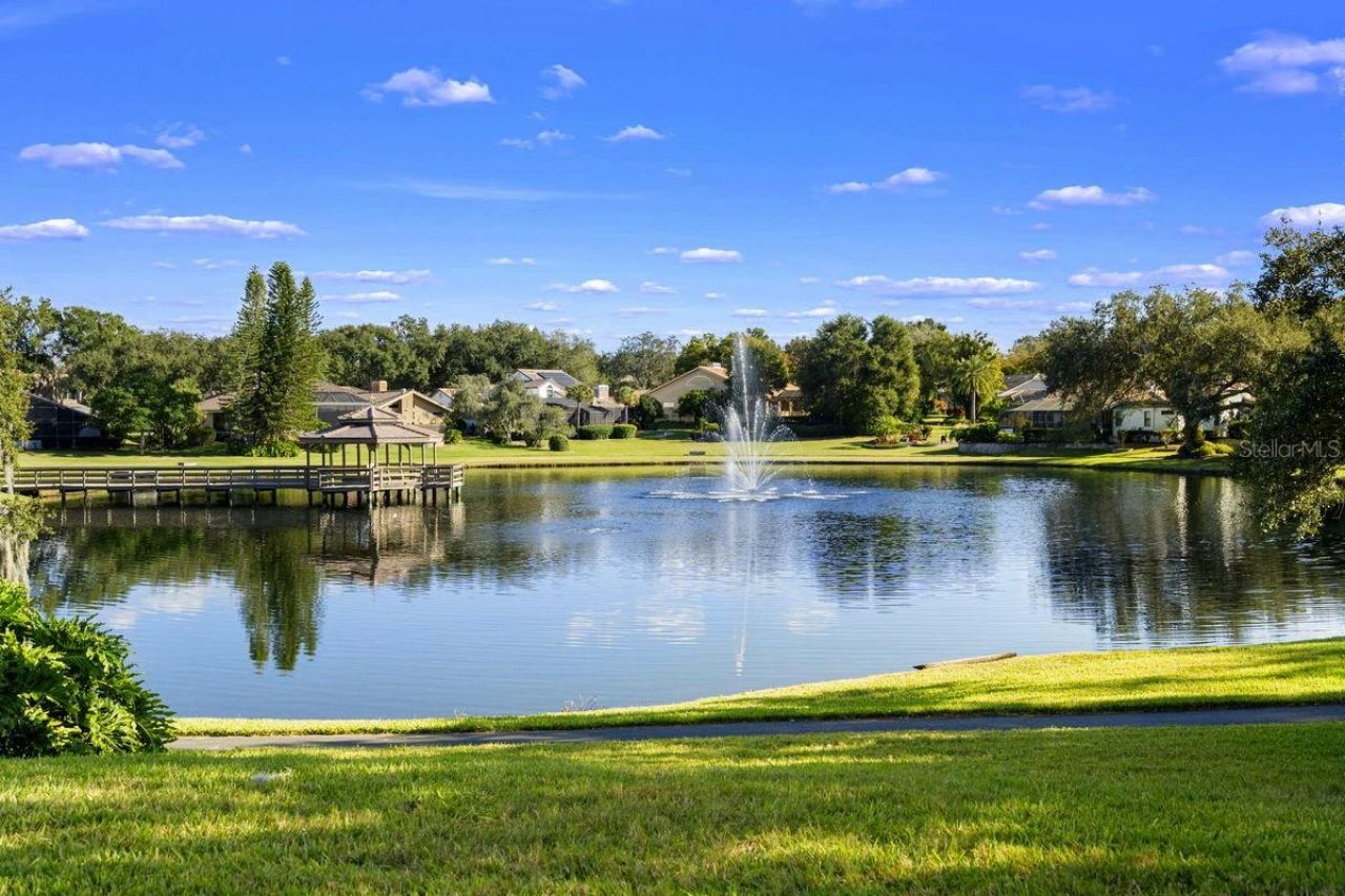 2639 Landing Way, Palm Harbor, FL 34684 Photo