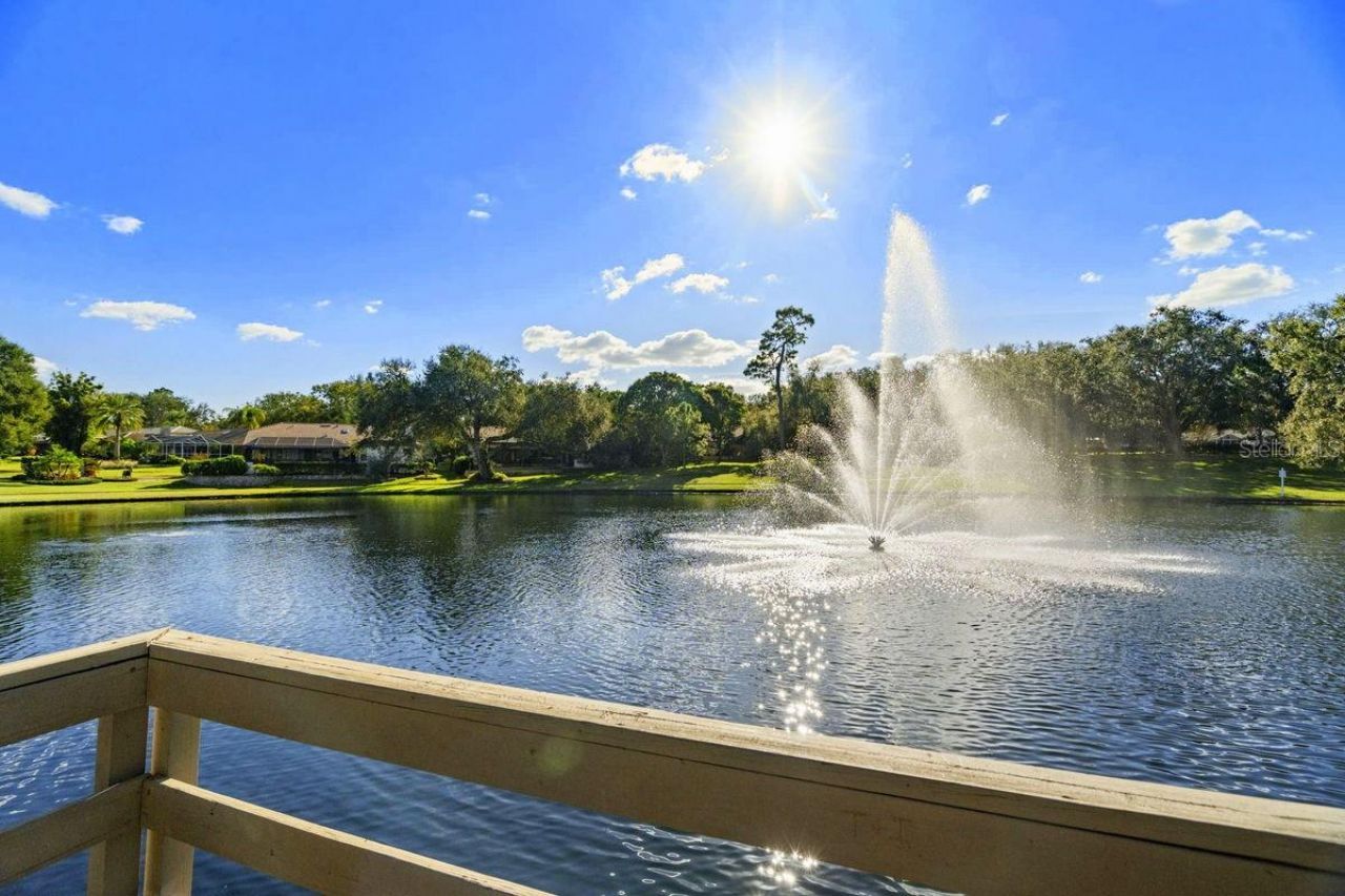 2639 Landing Way, Palm Harbor, FL 34684 Photo