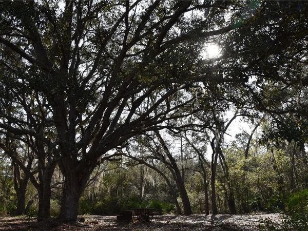 81 CLOUDS AVE, Interlachen, FL 32148