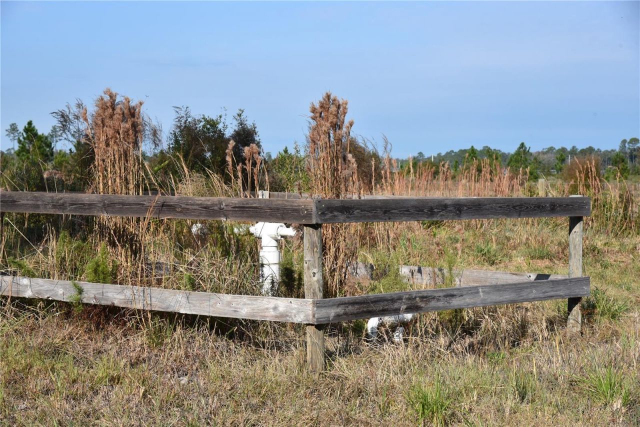 81 Clouds Ave, Interlachen, FL 32148 Photo