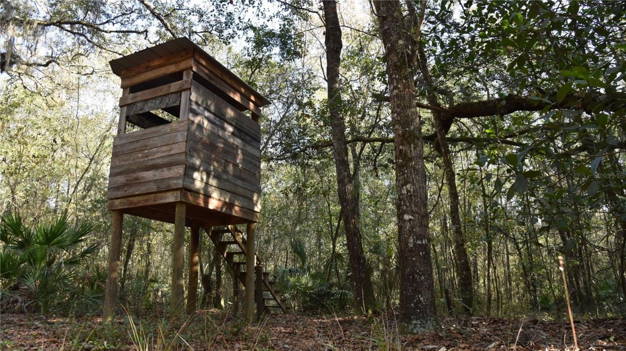 81 Clouds Ave, Interlachen, FL 32148 Photo