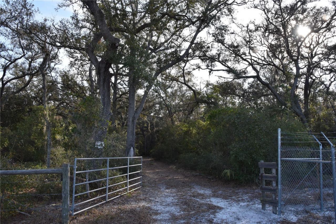 81 Clouds Ave, Interlachen, FL 32148 Photo