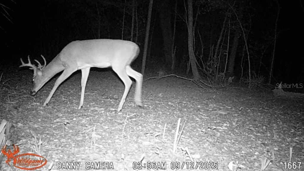 81 Clouds Ave, Interlachen, FL 32148 Photo