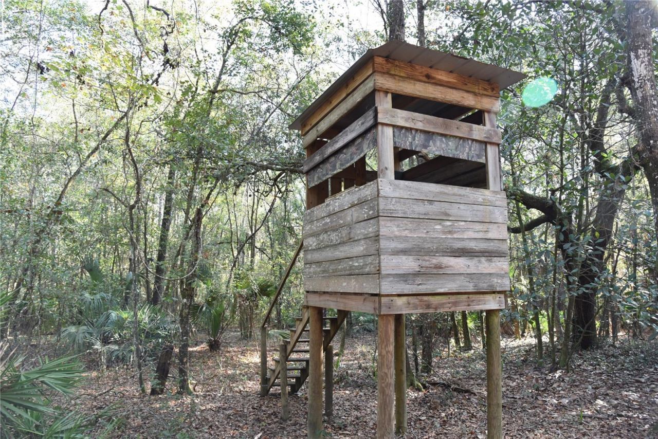 81 Clouds Ave, Interlachen, FL 32148 Photo