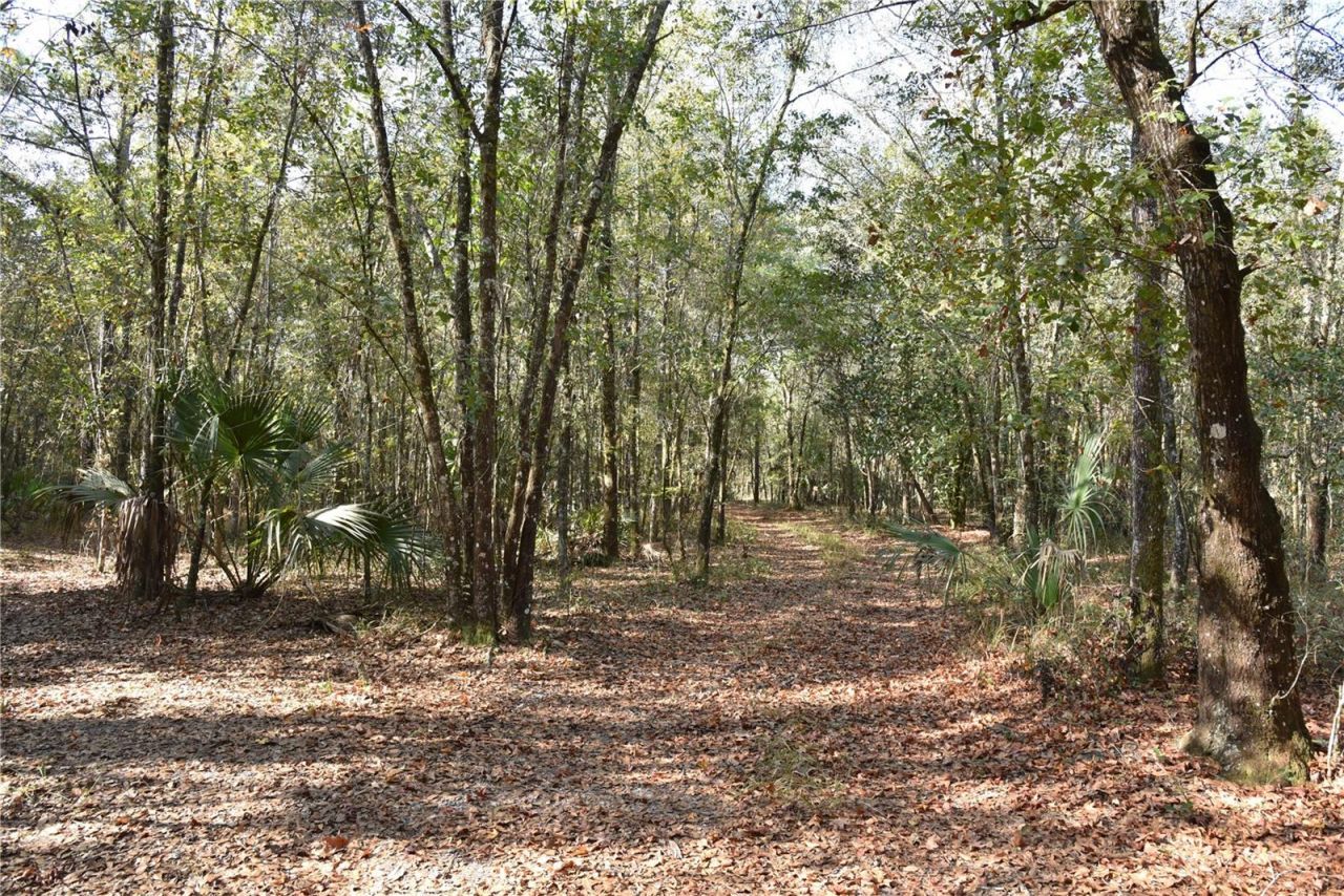 81 Clouds Ave, Interlachen, FL 32148 Photo