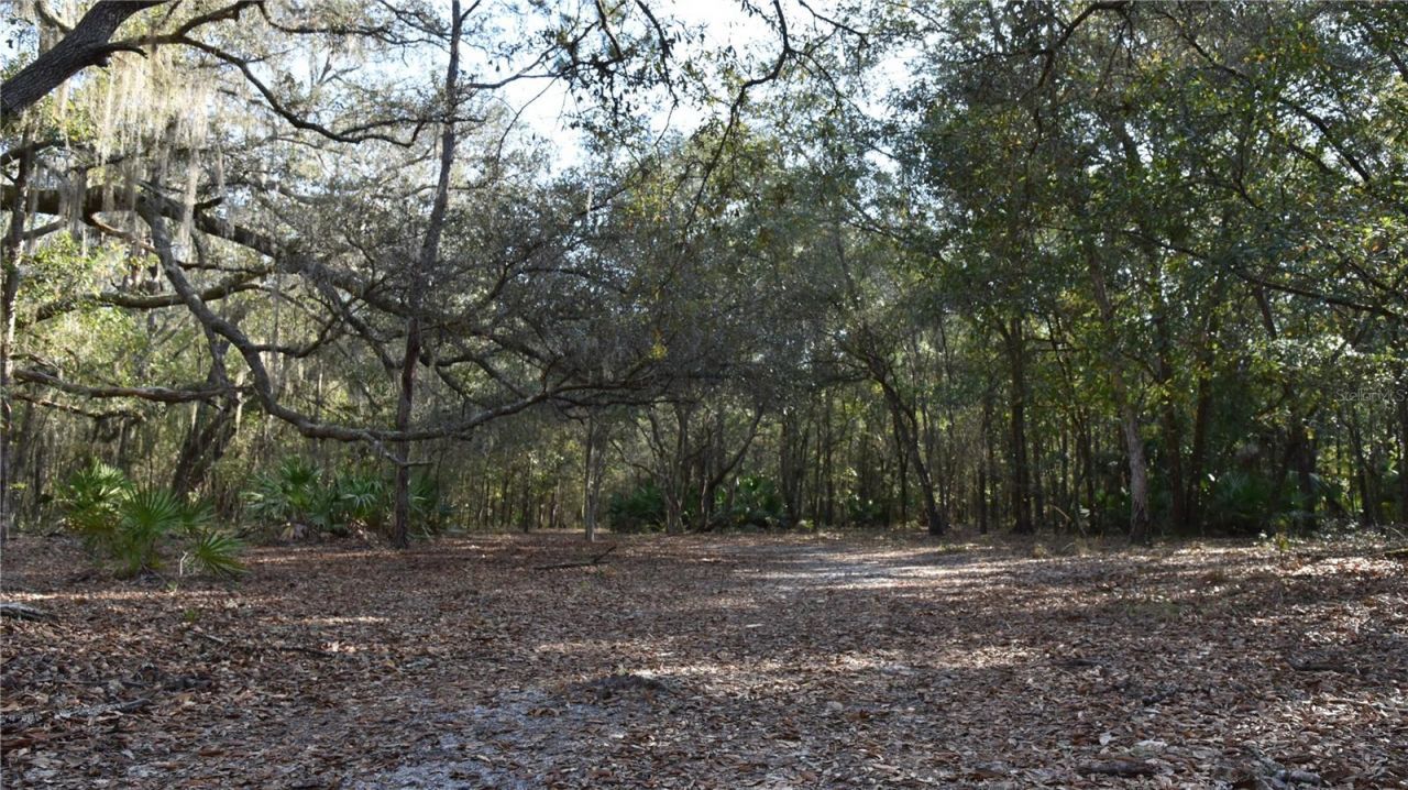 81 Clouds Ave, Interlachen, FL 32148 Photo