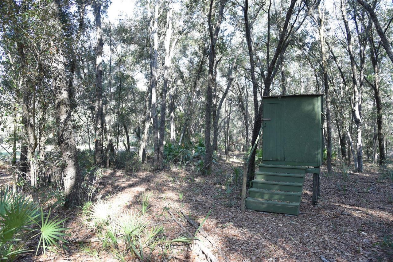 81 Clouds Ave, Interlachen, FL 32148 Photo