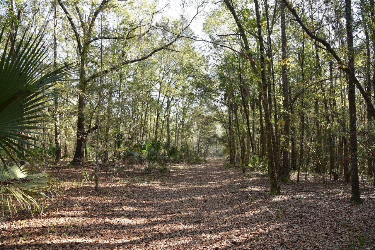 81 Clouds Ave, Interlachen, FL 32148 Photo