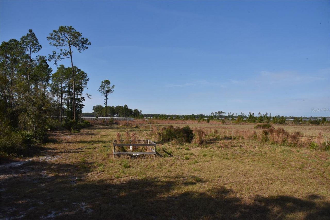 81 Clouds Ave, Interlachen, FL 32148 Photo