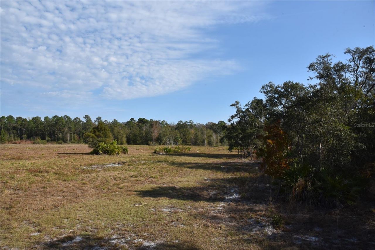 81 Clouds Ave, Interlachen, FL 32148 Photo