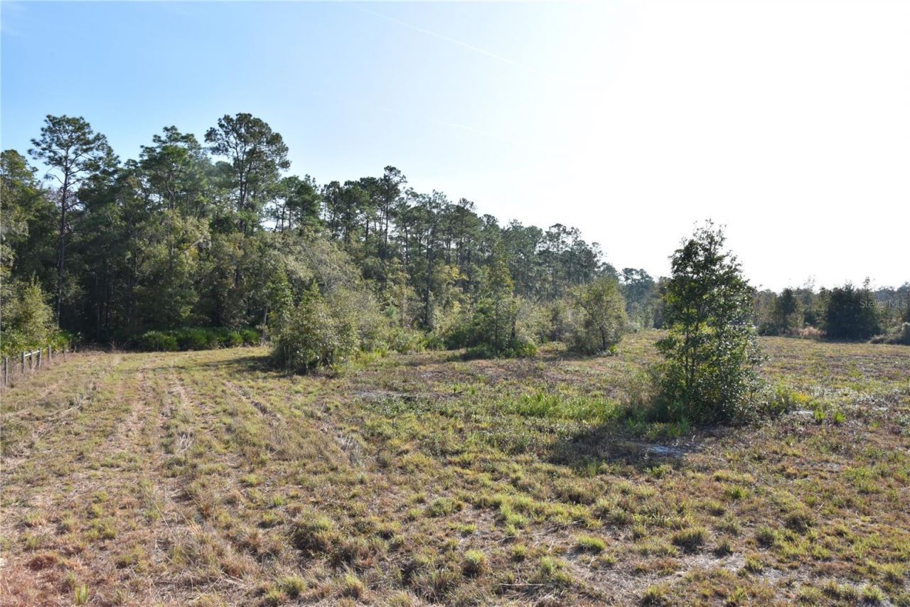 81 Clouds Ave, Interlachen, FL 32148 Photo