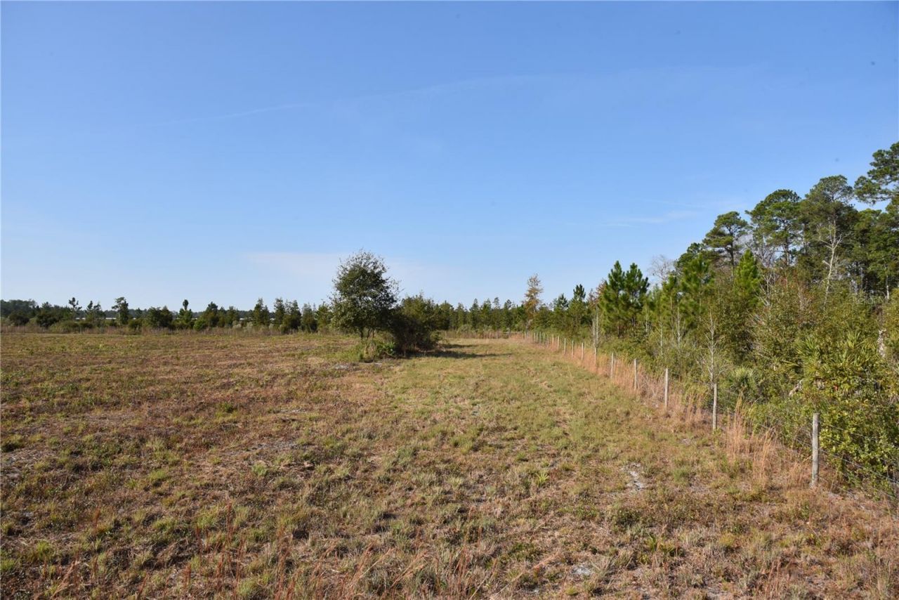 81 Clouds Ave, Interlachen, FL 32148 Photo