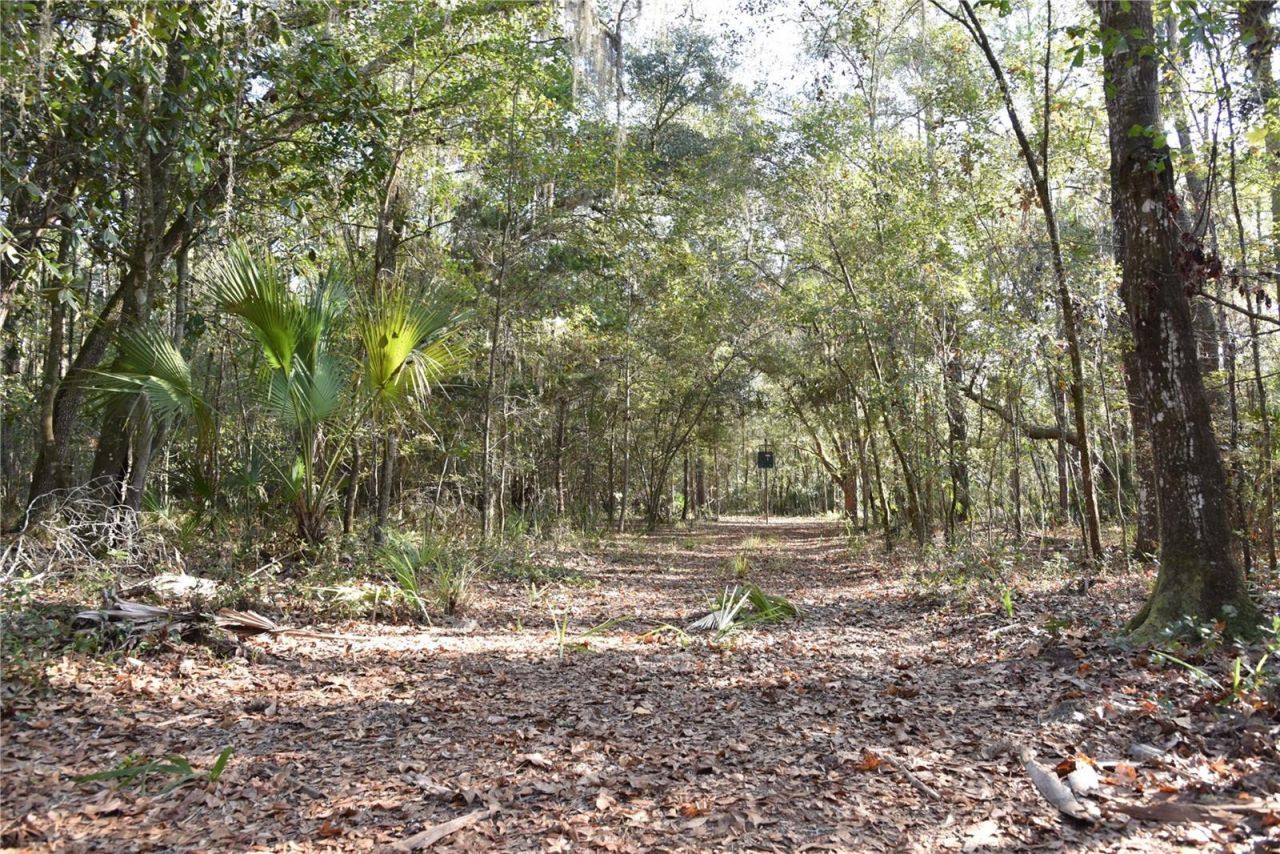 81 Clouds Ave, Interlachen, FL 32148 Photo